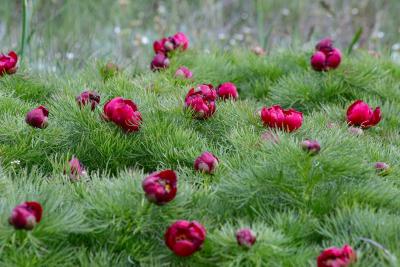 Прикрепленное изображение: IMG_4393.jpg